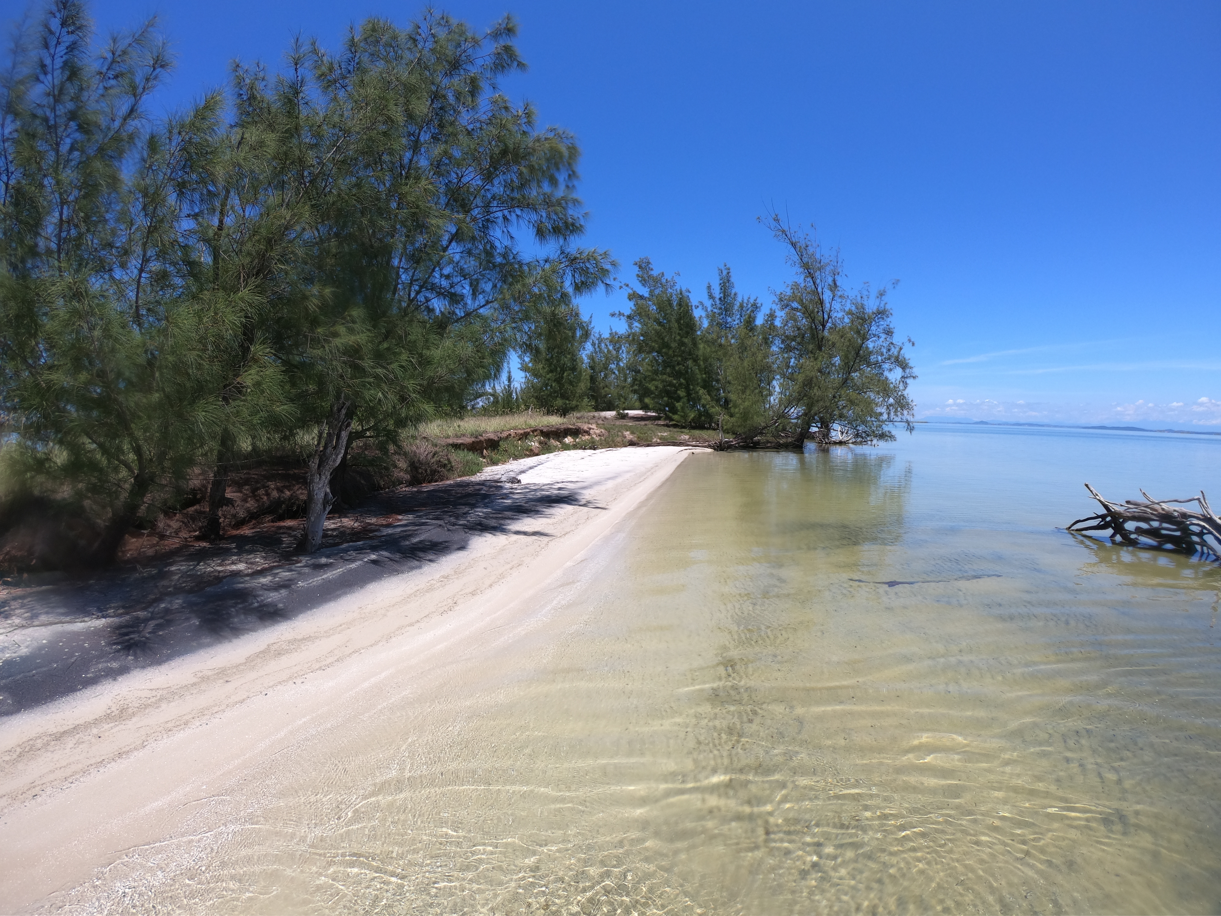 Ilha do amor